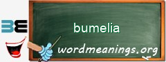 WordMeaning blackboard for bumelia